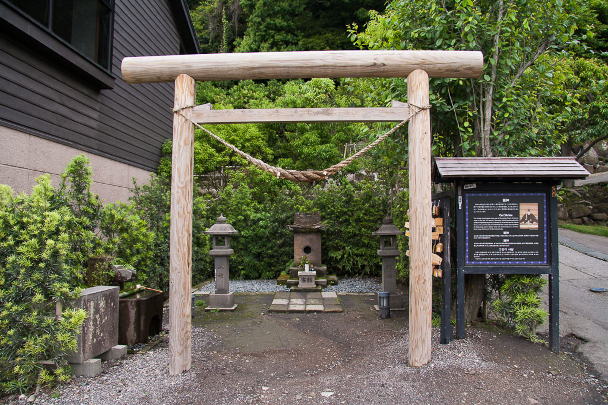 The Cat Shrine