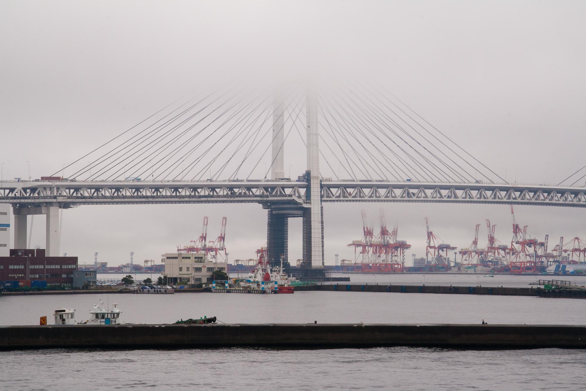 Yokohama Bay Bridge, with Honmoku Pier in the background.