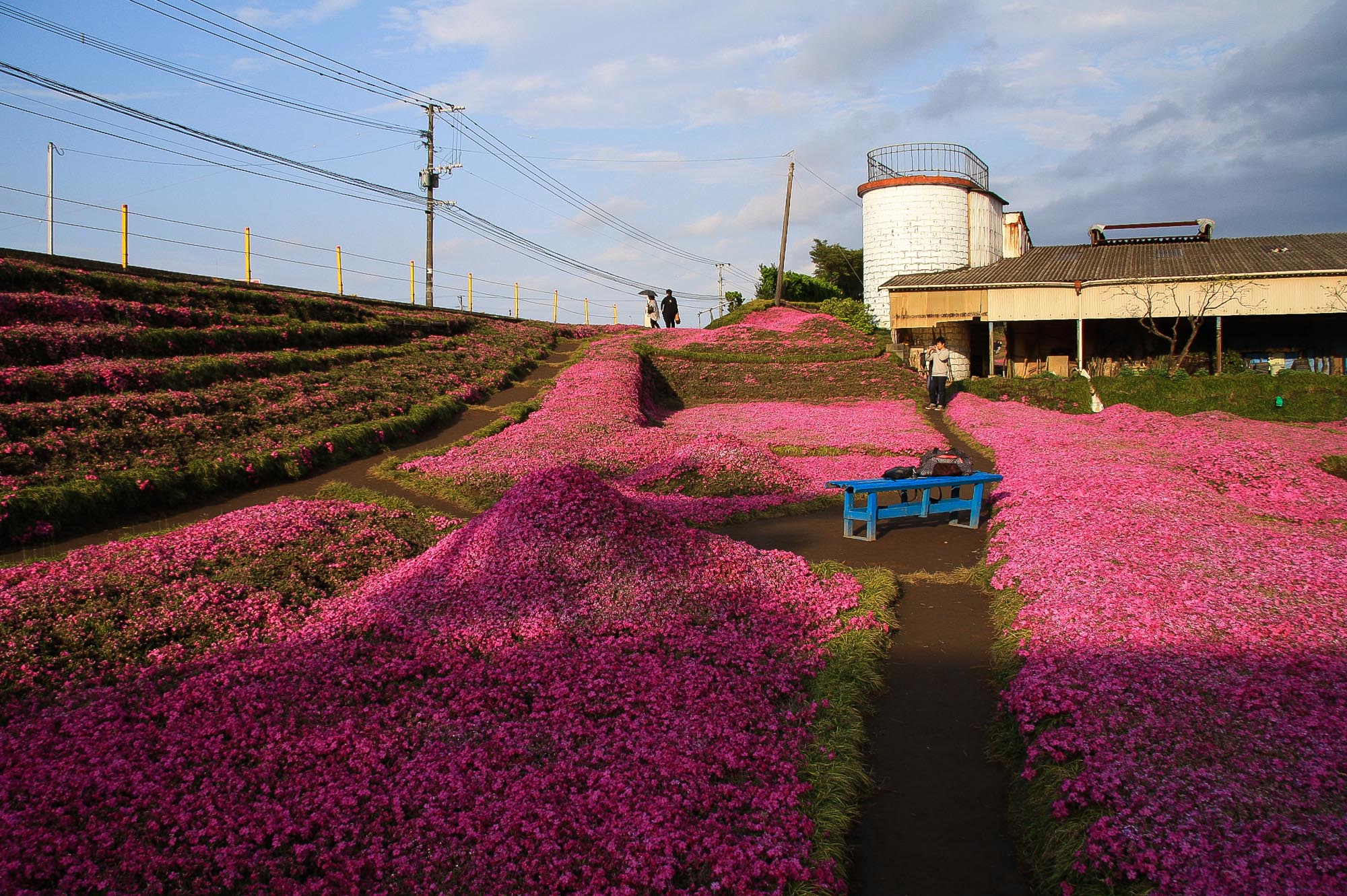 Toshiyuki Kuroki Garden 046