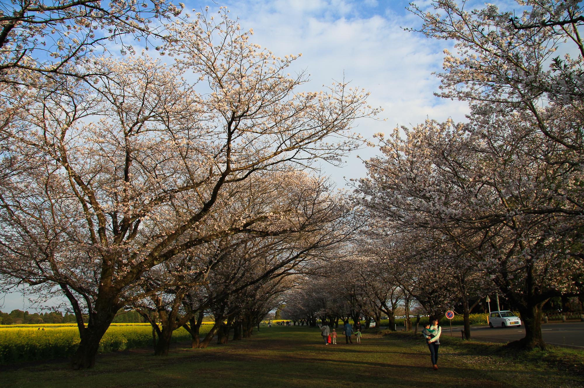 Toshiyuki Kuroki Garden 065