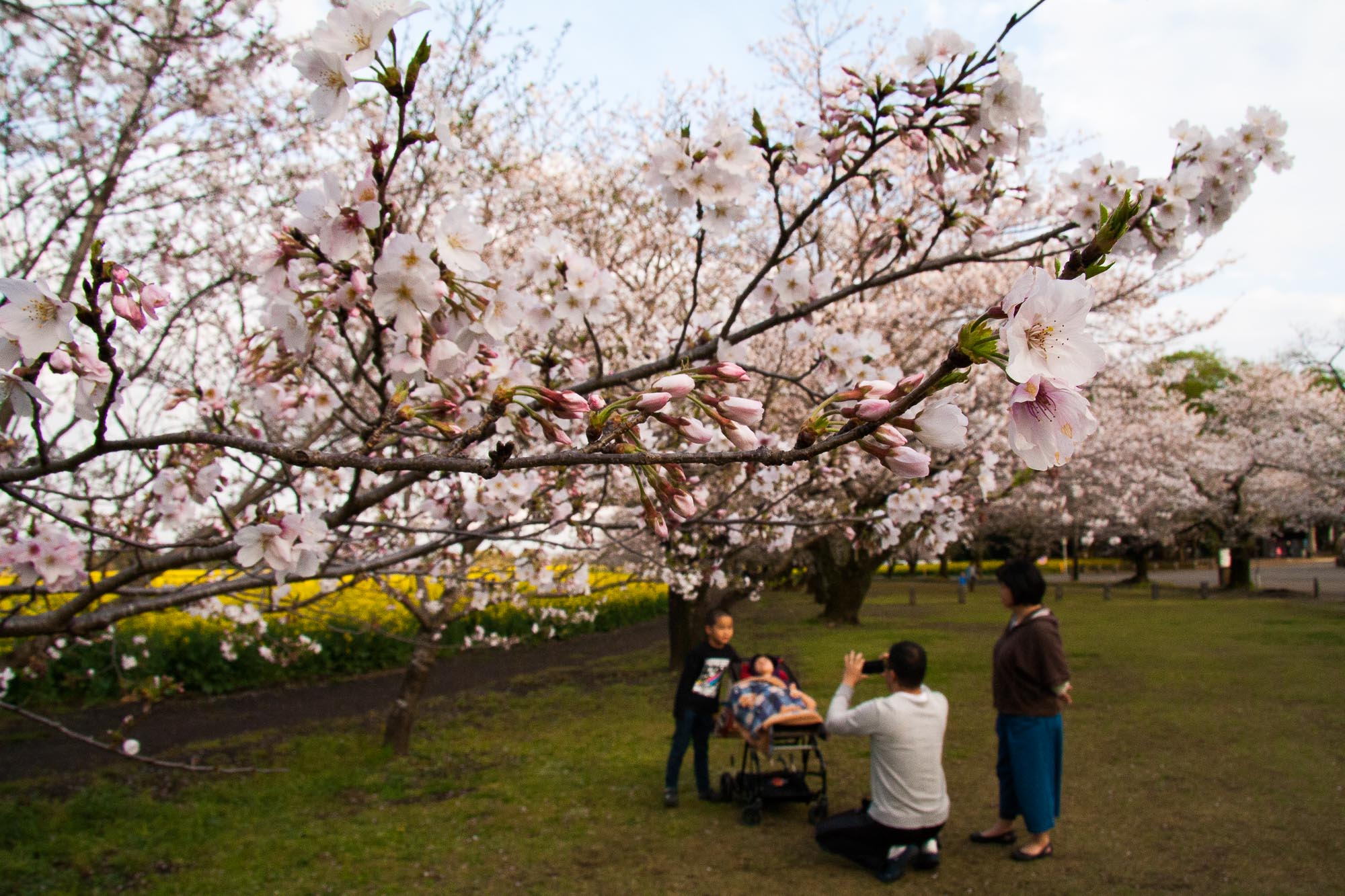 Toshiyuki Kuroki Garden 082