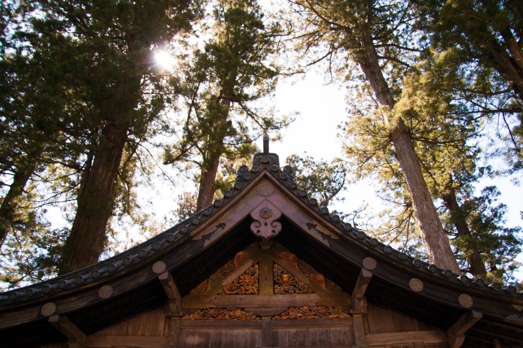 The Sacred Stable.